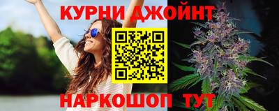 сатива Малгобек