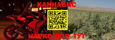 сатива Малгобек