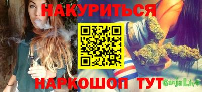 сатива Малгобек