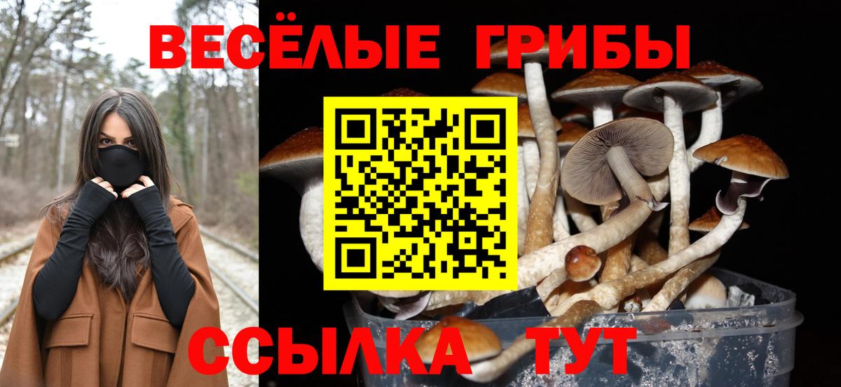 Сыктывкар  Псилоцибиновые грибы MAGIC MUSHROOMS  Вход с VPN  Псилоцибиновые грибы мухоморы 