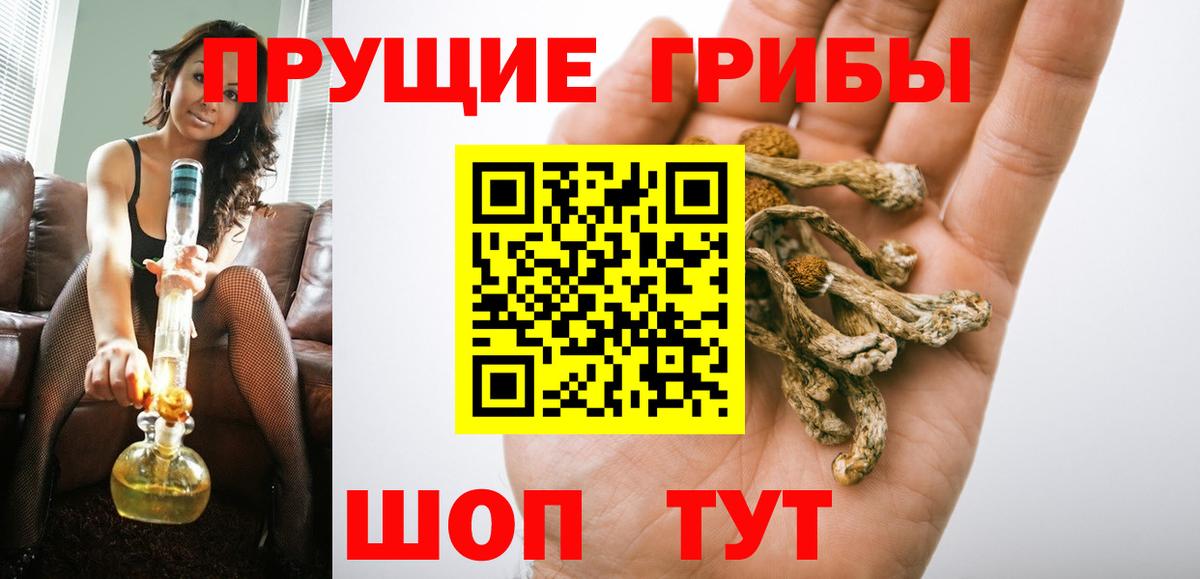Псилоцибиновые грибы GOLDEN TEACHER Сыктывкар